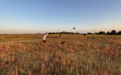 How to Introduce Your Dog to Guns